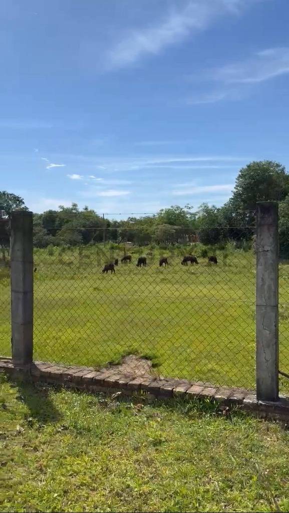 Vendo Granja De 51 Has En Caacupe — foto 3