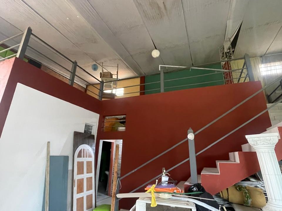 TINGLADO EN BARCEQUILLO SAN LORENZO — foto 2