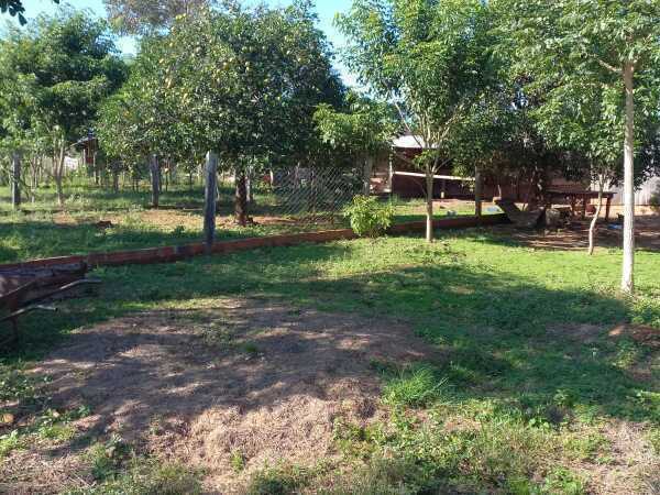 VENDO PROPIEDAD RURAL EN SAN PEDRO. — foto 2