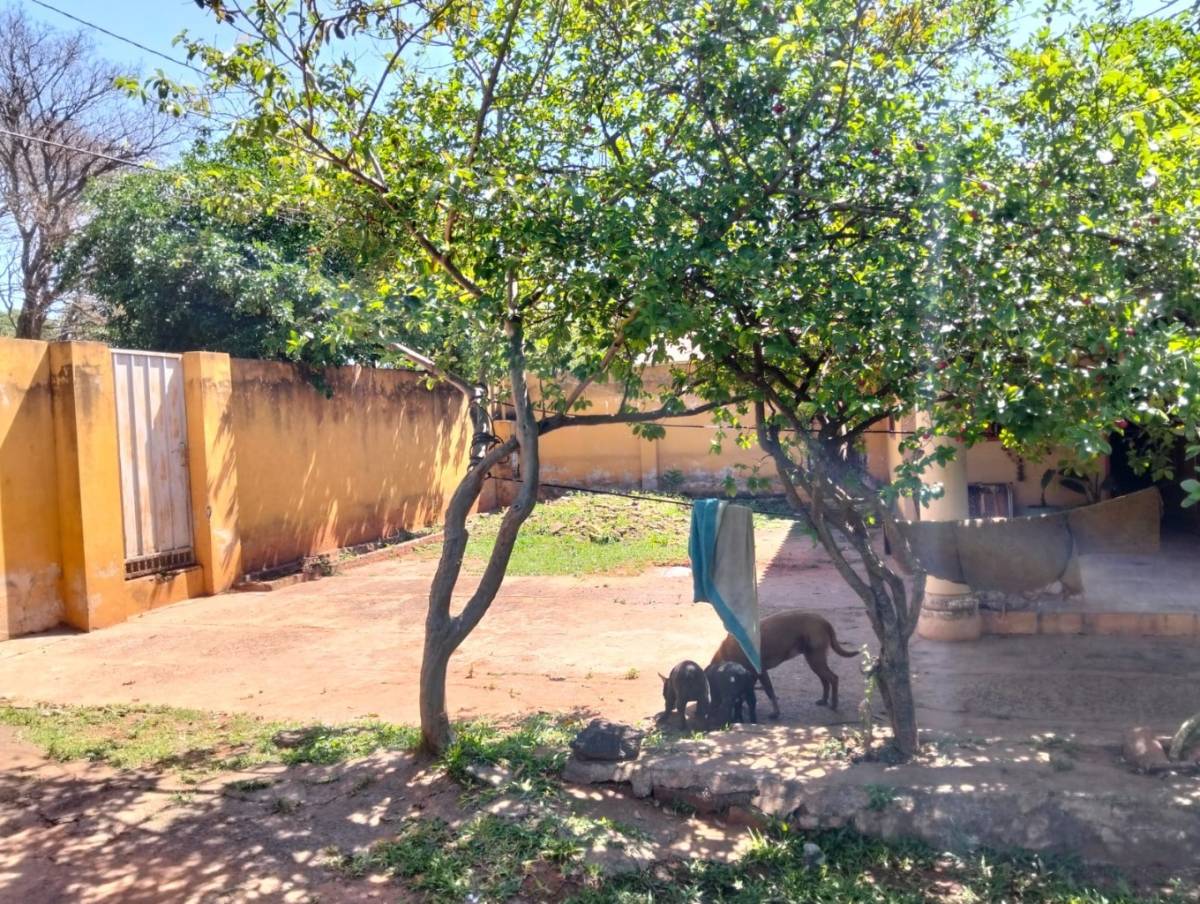 Terreno 360 m² con casa a demoler | Luque — foto 2