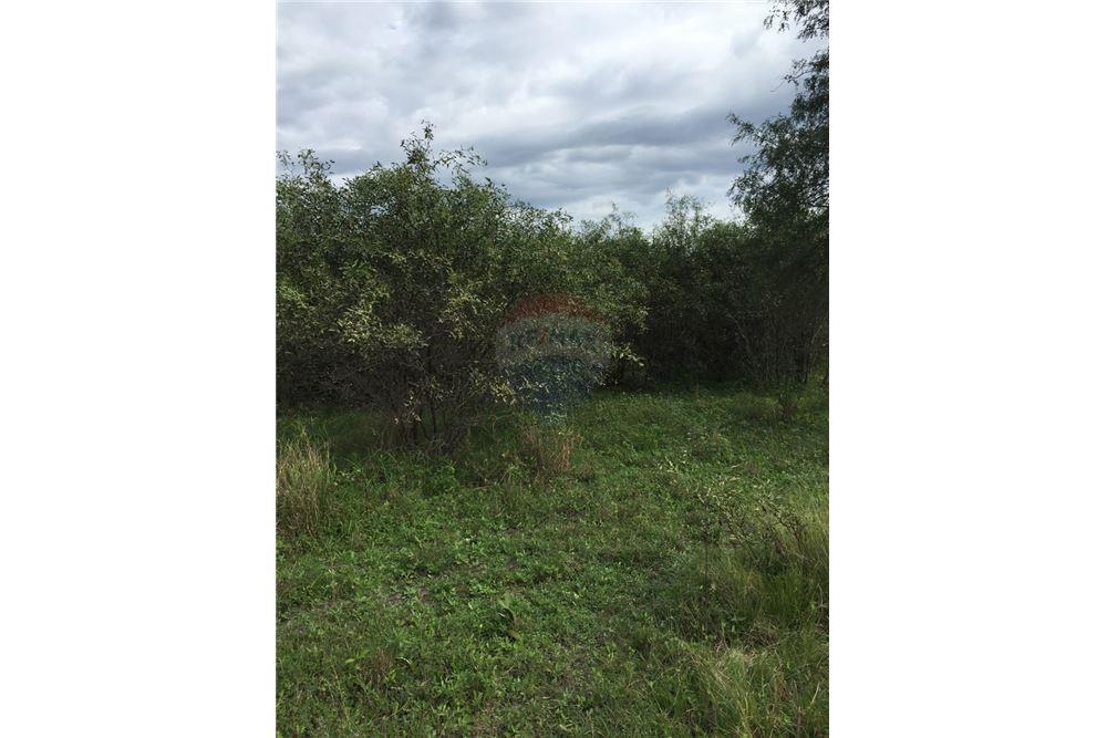 VENDO SOBRE RUTA 12 a 251 kms aprox, de Asunción — foto 3