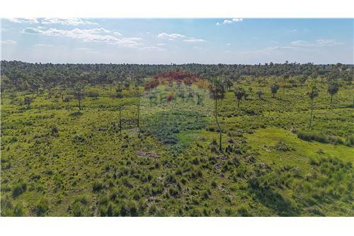 Campo en venta en Arroyos y Esteros — foto 3