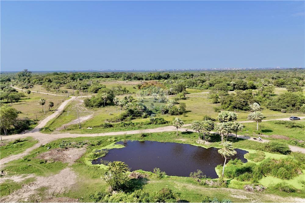 VENDO CAMPO DE 50 HECTAREAS EN JOSE FALCON VILLA HAYES — foto 3