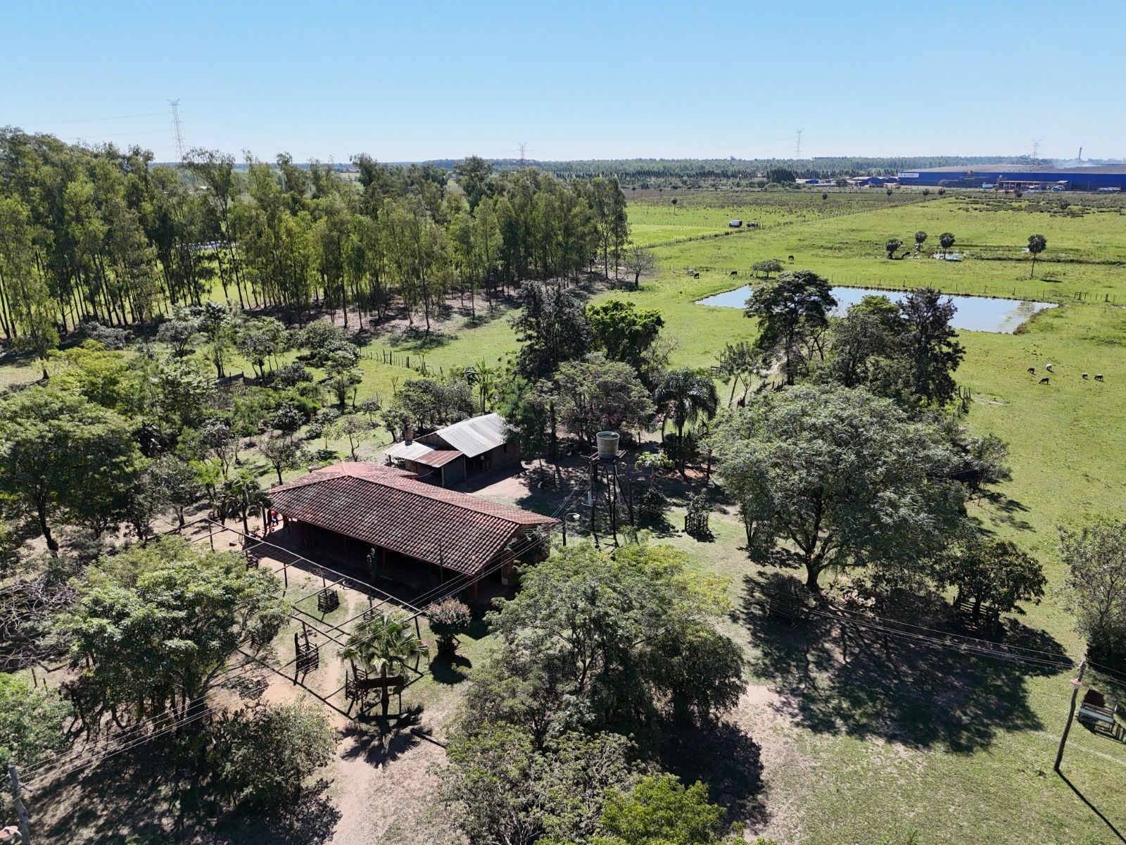 Vendo Gran propiedad de 14,8 hectareas en villa Hayes — foto 2