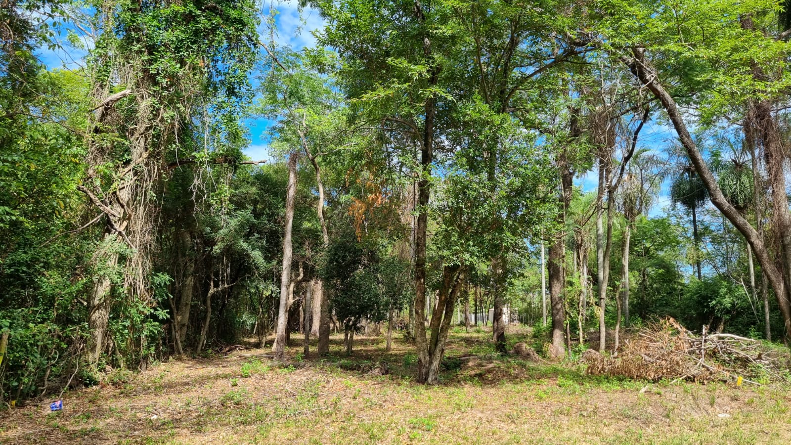 En Venta hermosos terrenos en urbanización Ciervo Cua — foto 2