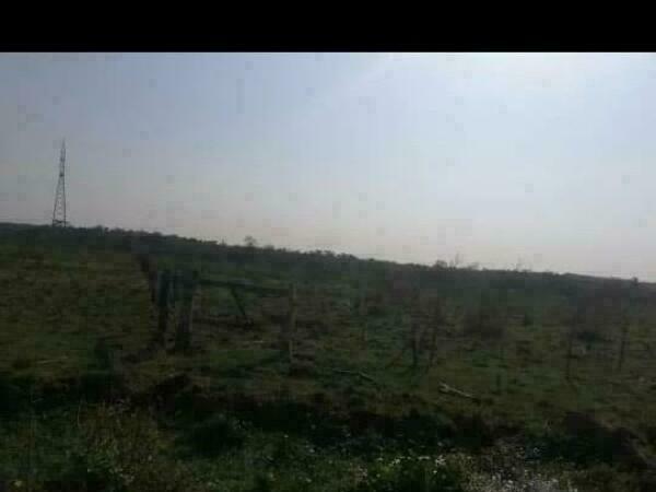 EN VENTA – PROPIEDAD RURAL EN SANTANÍ — foto 3