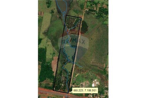 VENDO 20 HECTAREAS EN OLEARY SOBRE RUTA — foto 3