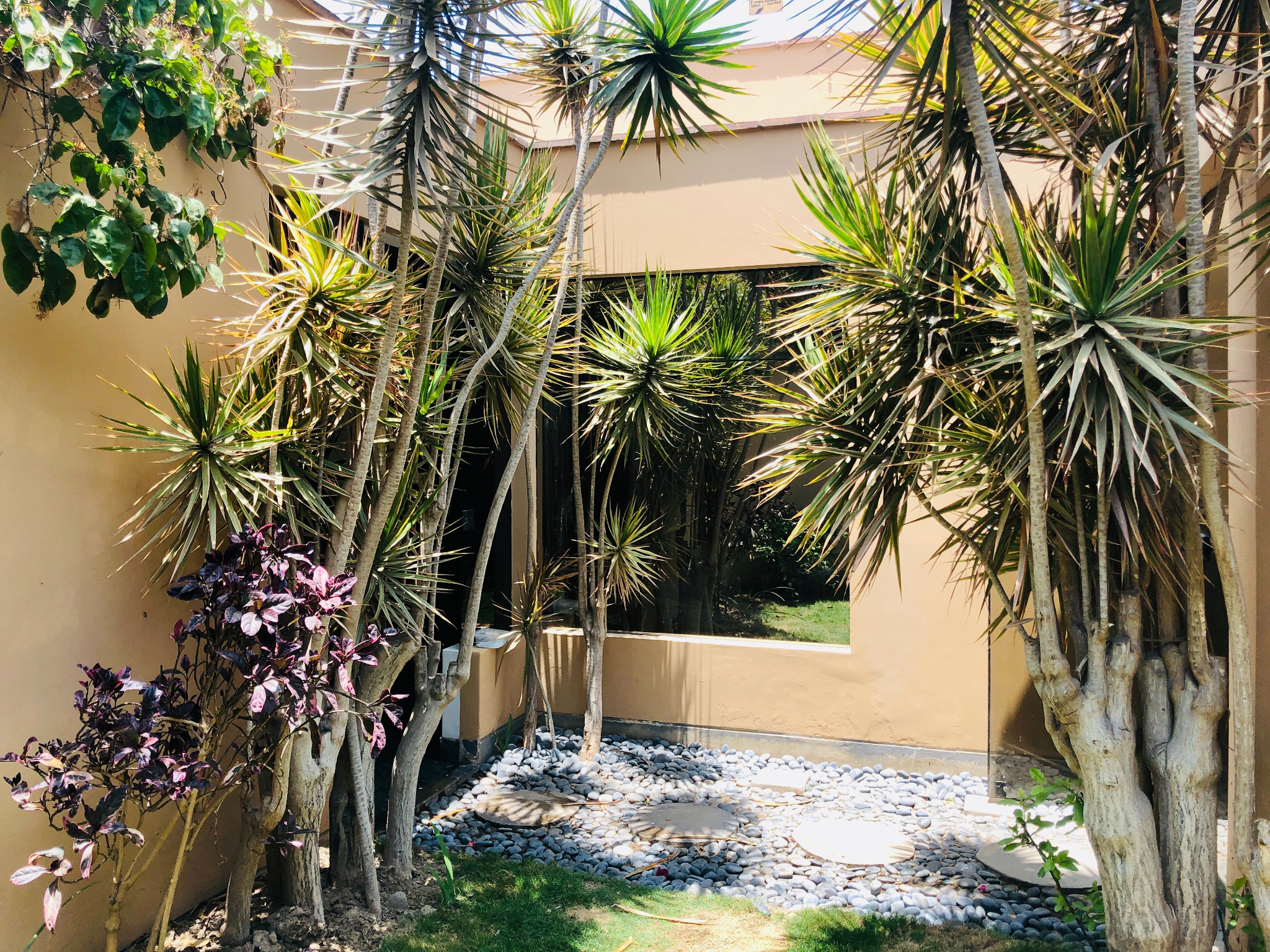 Casa en venta en Santiago de Surco