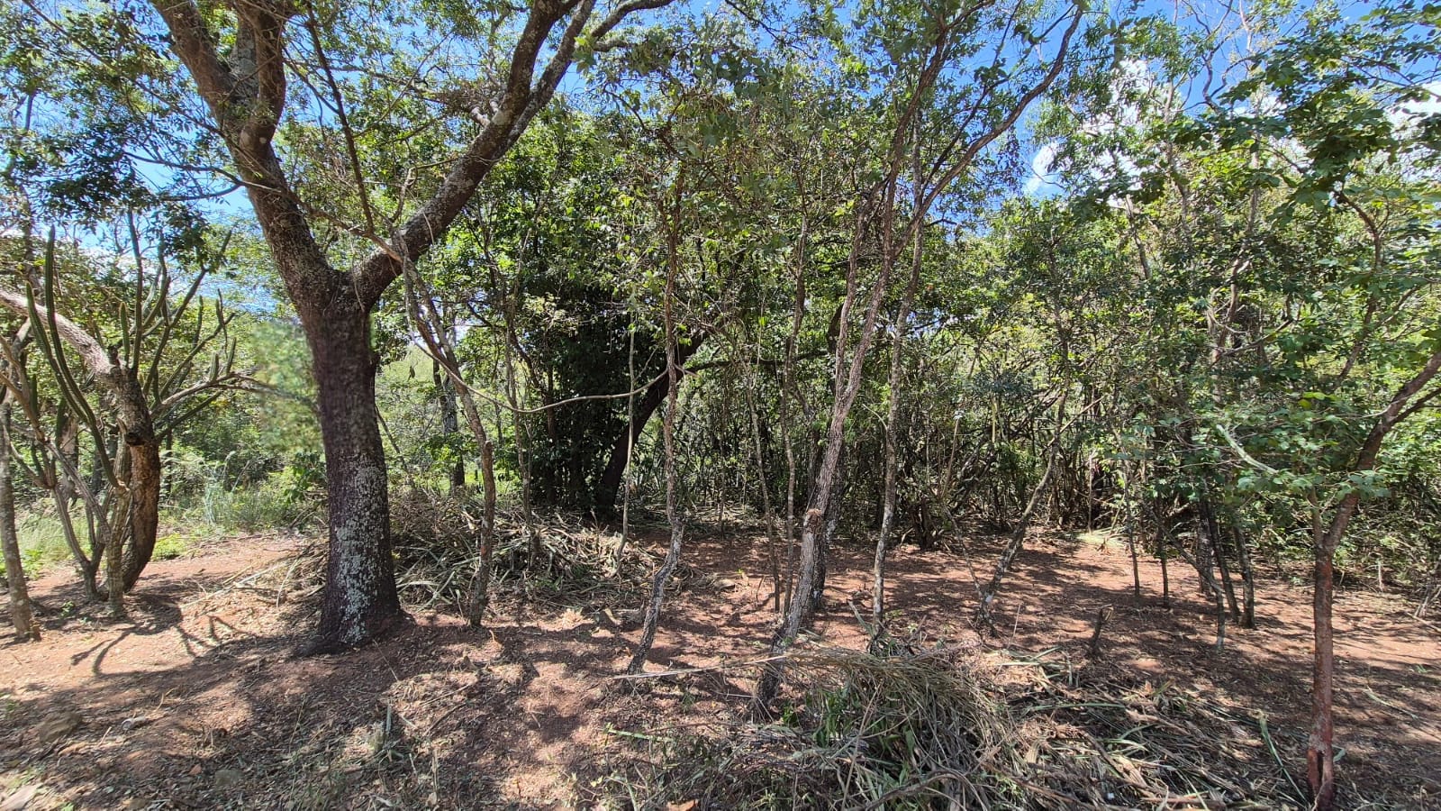 Terreno-venta-san Bernardino- Cordillera — foto 2
