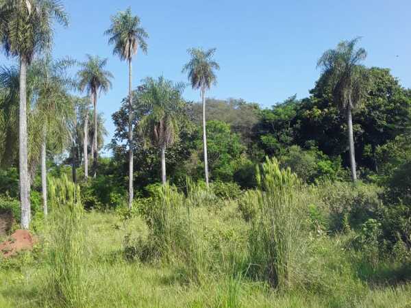 ¡Oportunidad única! Terrenos en venta en Atyrá – Mbururú — foto 3