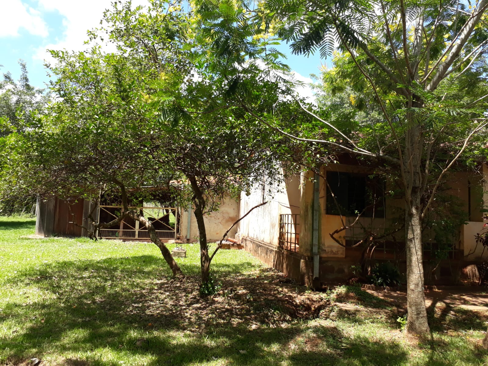 VENDO AMPLIA PROPIEDAD RURAL EN ARROYOS Y ESTEROS — foto 2