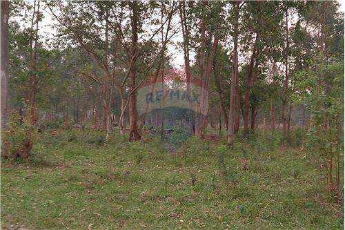 Estancia/Campo - Venta - San Pedro Del Paraná — foto 2