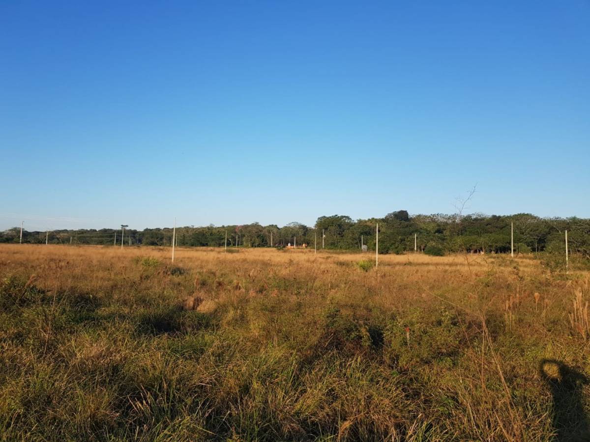 VENDO HECTAREAS EN YAGUARON — foto 3