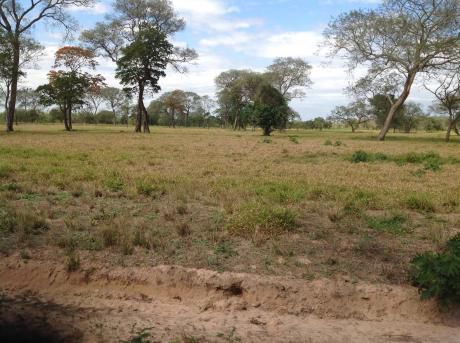 Lotes De Terreno En Norbelgica