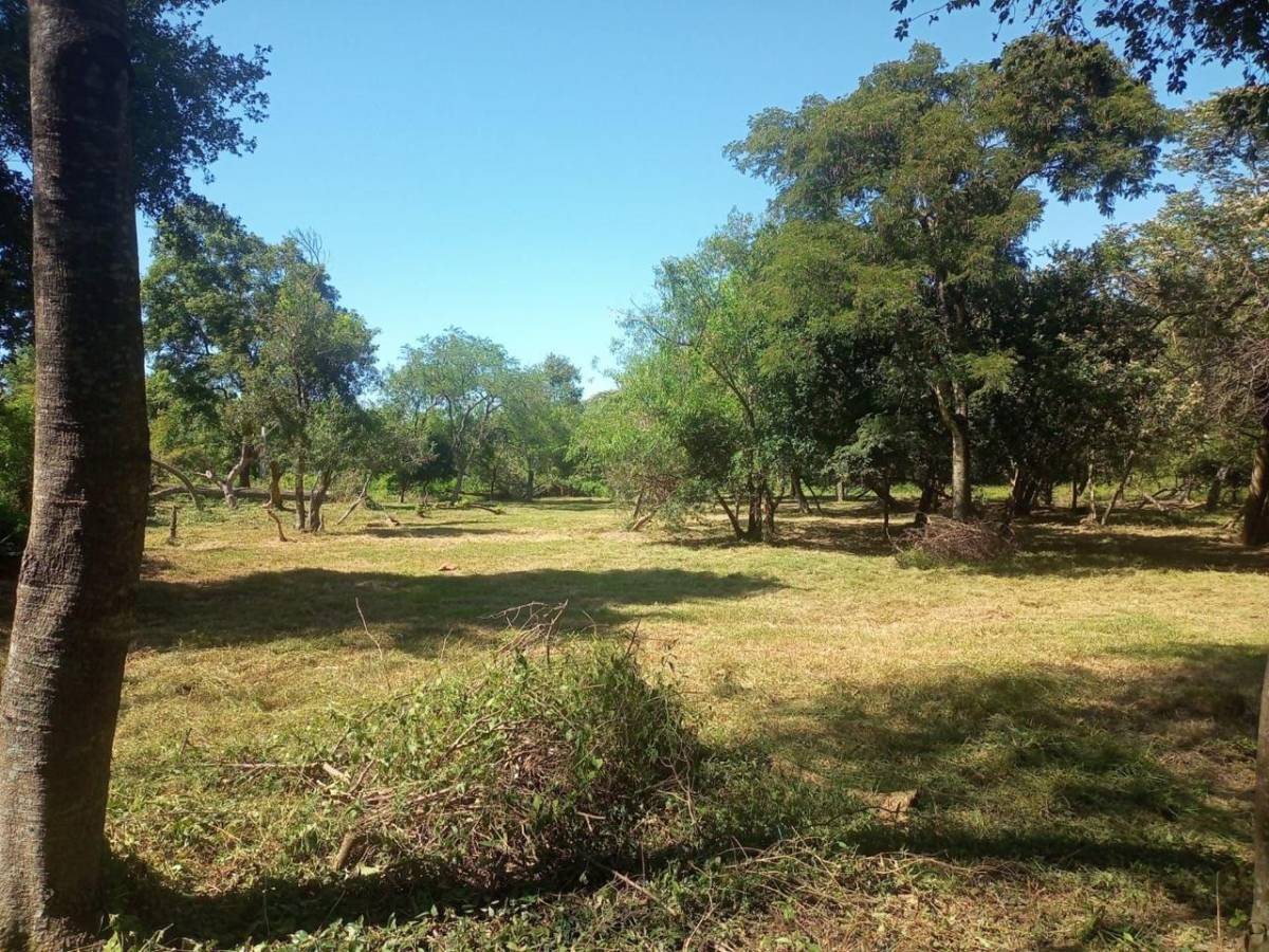 Terreno en venta en San Bernardino — foto 2
