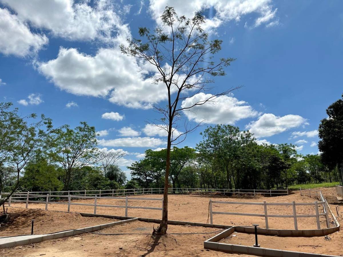 TERRENO EN VENTA EN MADRE SELVA ECO BARRIO — foto 3