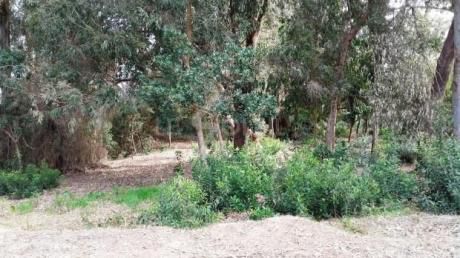 Terreno En Punta Colorada
