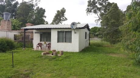 Rincón Y Baltasar Brum