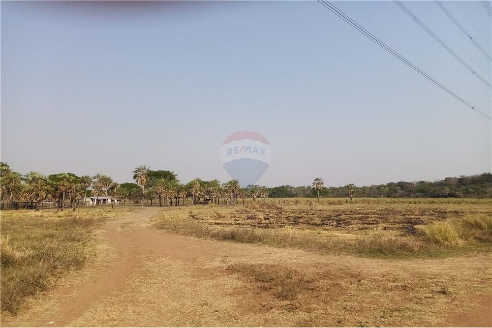 Estancia/Campo - Venta - Paraguay Presidente Hayes Villa Hayes — foto 3