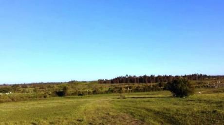 Venta De Campo En Soca