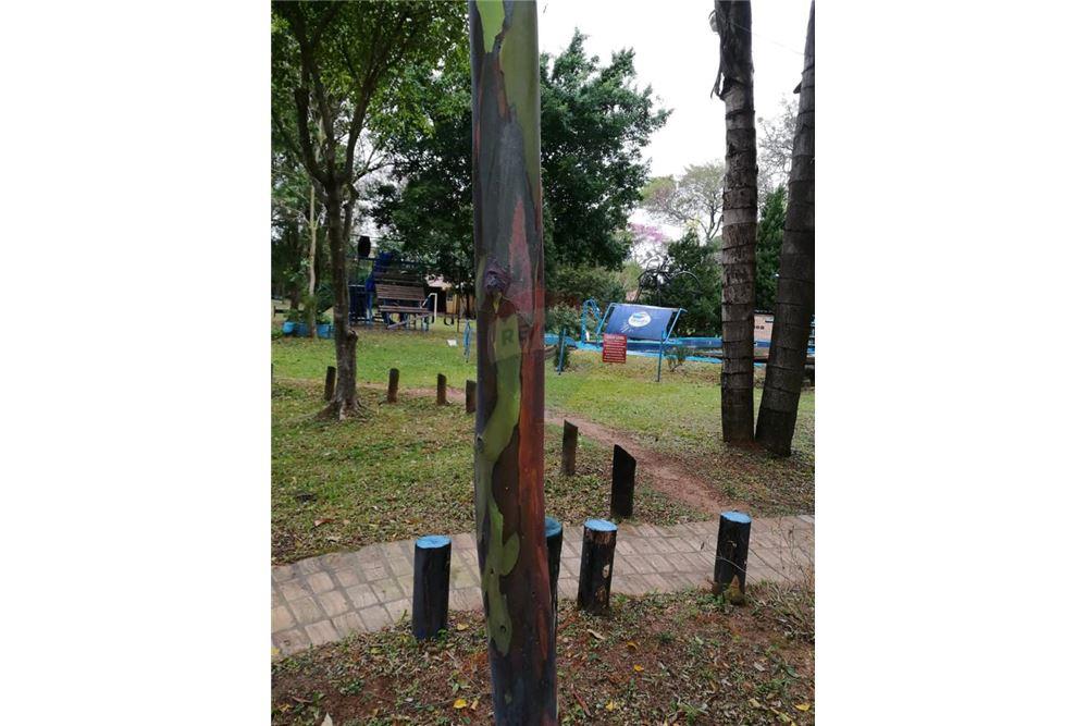 Importante terreno sobre el lago YPACARAI — foto 3