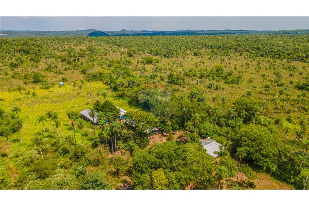 VENDO GRANJA DE 8 HECTAERAS EN ALTOS — foto 3