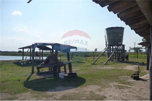 VENTA ESTANCIA 731 HAS - RUTA 12 - PTE HAYES - PARAGUAY — foto 3