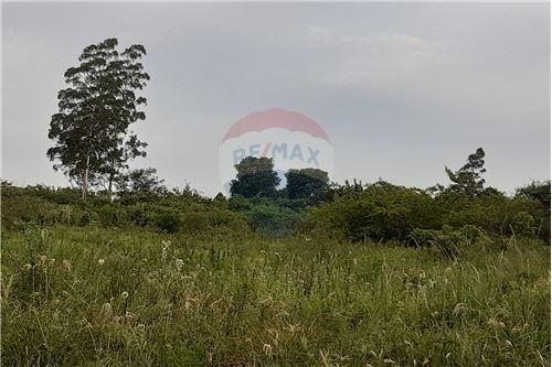 TERRENO EN VENTA, CAMBYRETA — foto 2