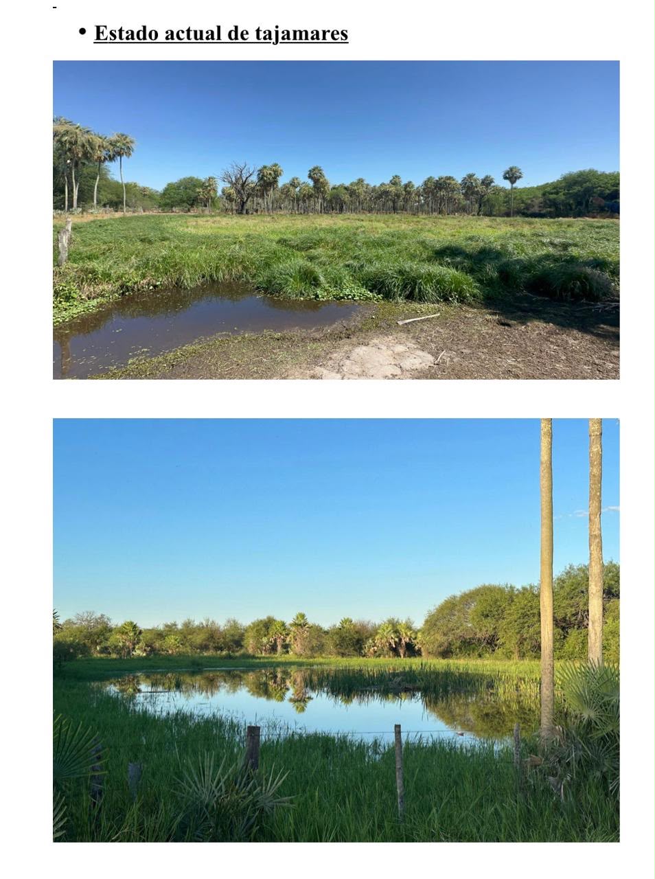 Estancia en venta – Oportunidad única en el Chaco Paraguayo — foto 3