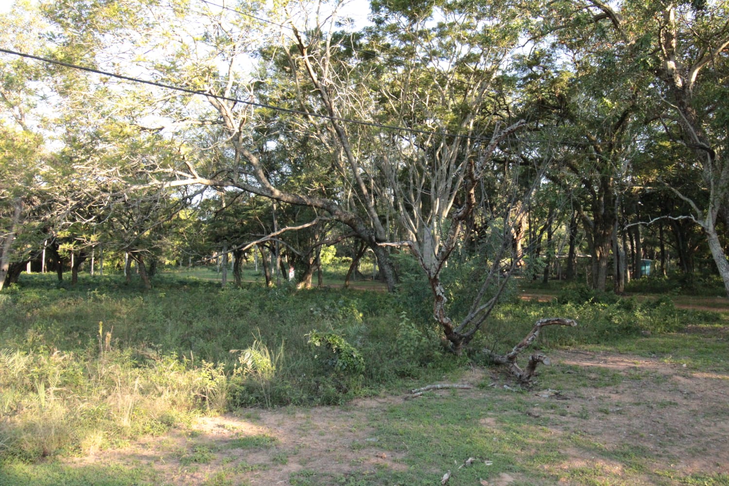 VENDO TERRENO EN BARRIO CERRADO SAN BER — foto 3