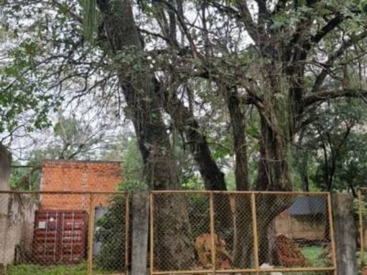 EN VENTA | Terreno En San Jorge – Ideal Para Residencia O Dúplex — foto 3