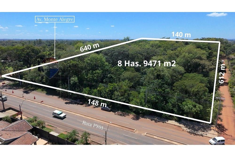 Vendo terreno de 8 has. 9.471 m² en Coronel Bogado — foto 3