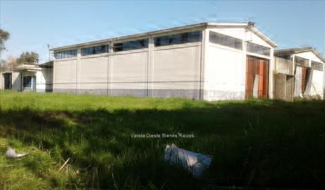 Local Industrial Próximo A Zona América