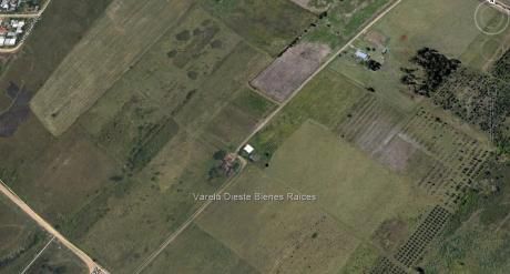 Venta Campo En Progreso