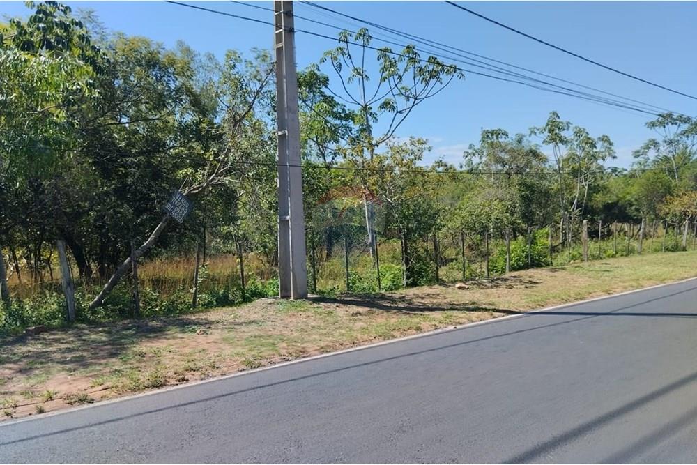 Terreno - Venta - Nueva Colombia — foto 3