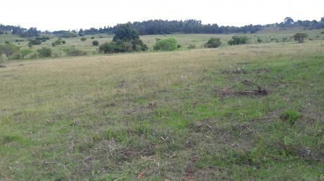Chacra De Una Hectarea A Un Paso De Minas