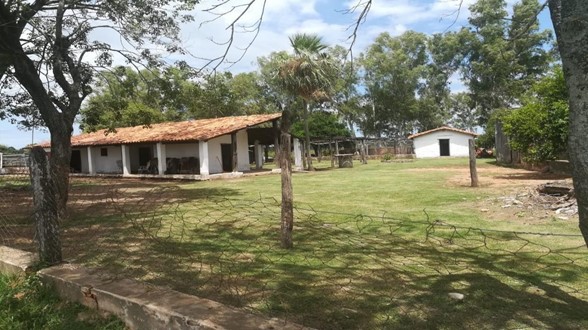 Vendo  hermosa estancia a 1 hora de asuncion — foto 2