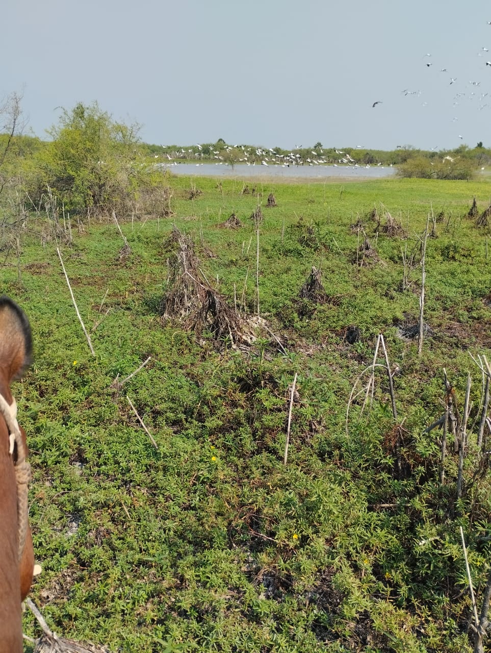 Vendo HERMOSA estancia en Boquerón — foto 3