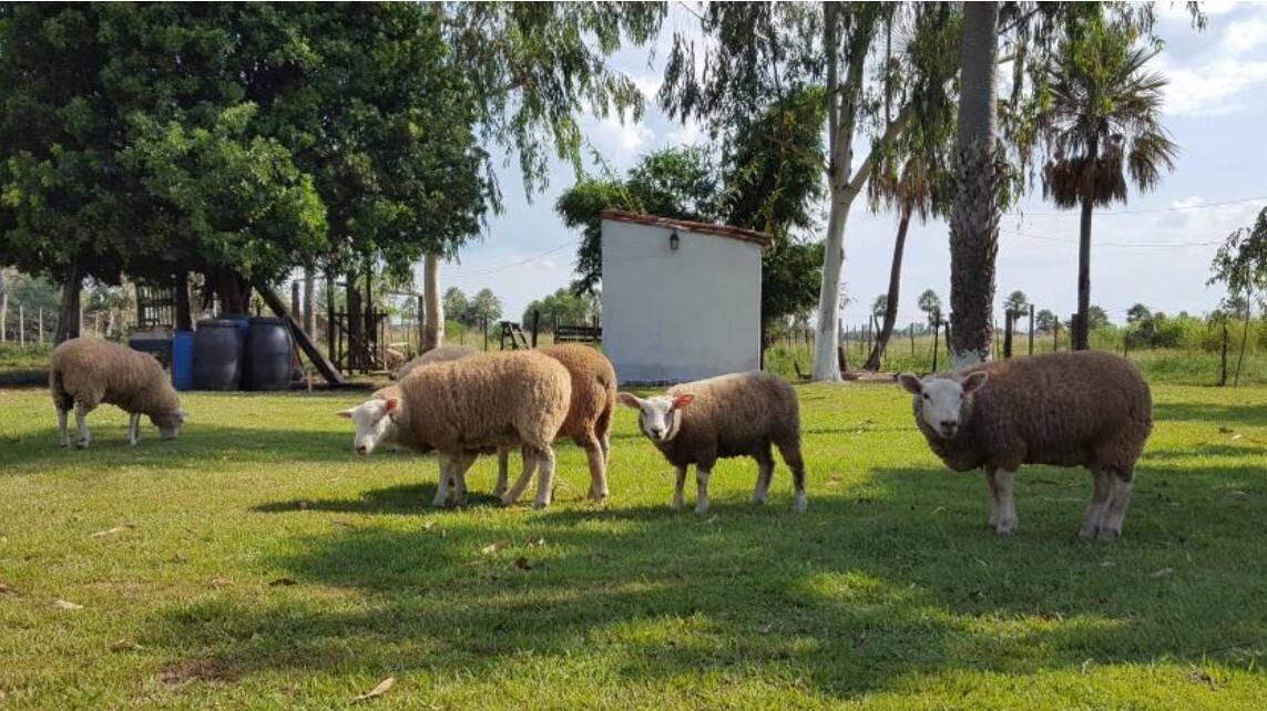 VENDO GRANJA DE 13HAS EN VILLETA — foto 2