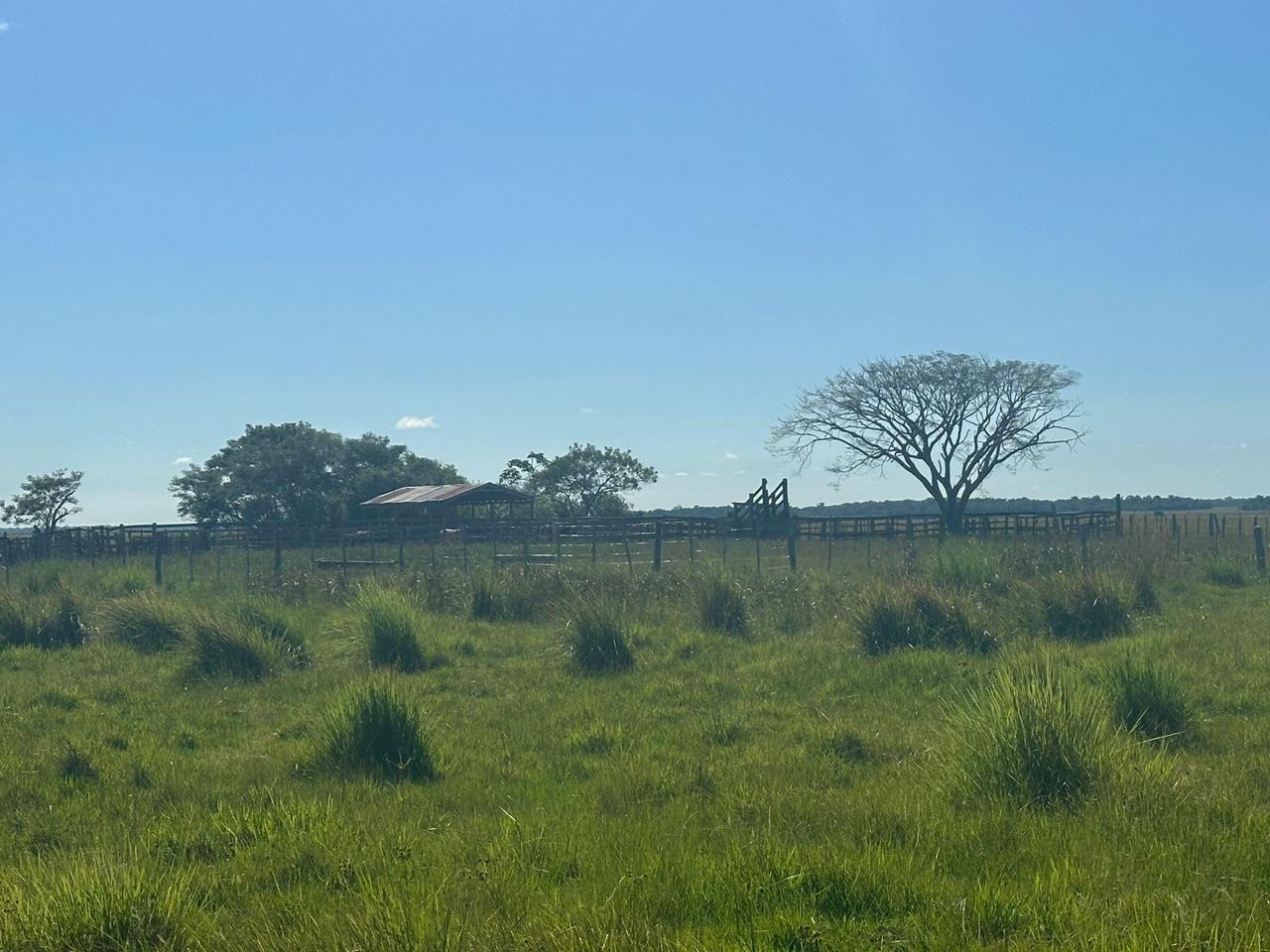Vendo Campo de 1.263 Hectáreas en Santa Rosa, Misiones - CLCS7375524 — foto 3
