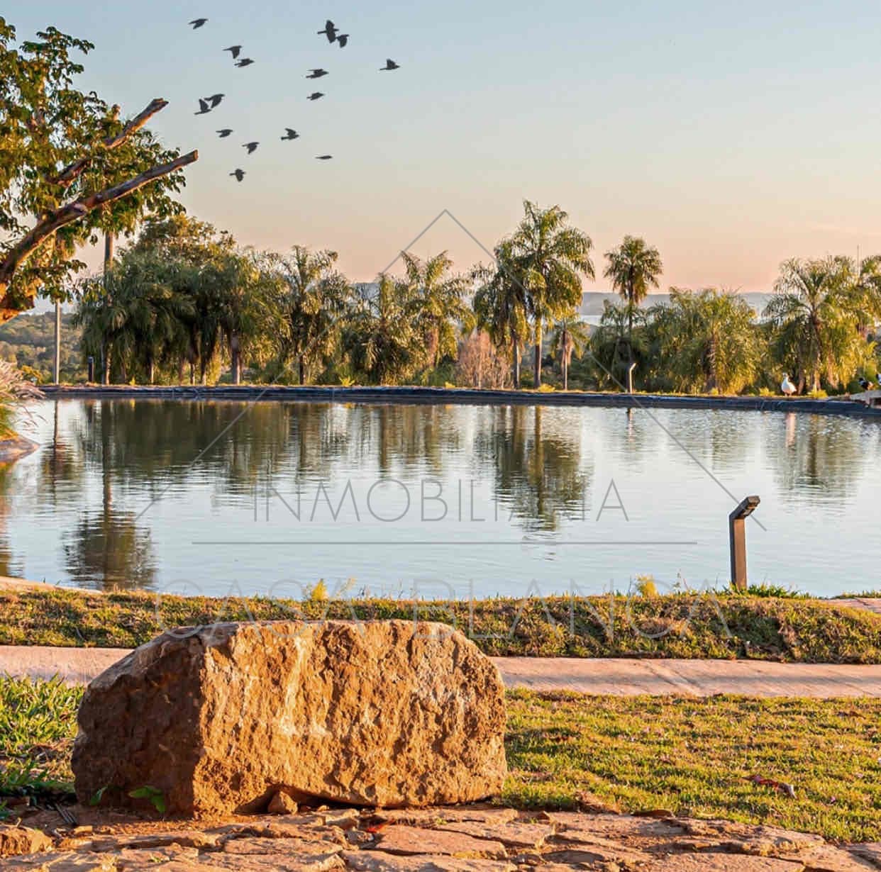 Terrenos En Venta En Serendipia – San Bernardino — foto 3