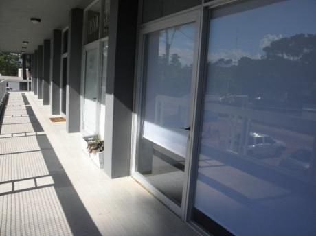 Oficina, Consultorio, Local Comercial En Punta Del Este