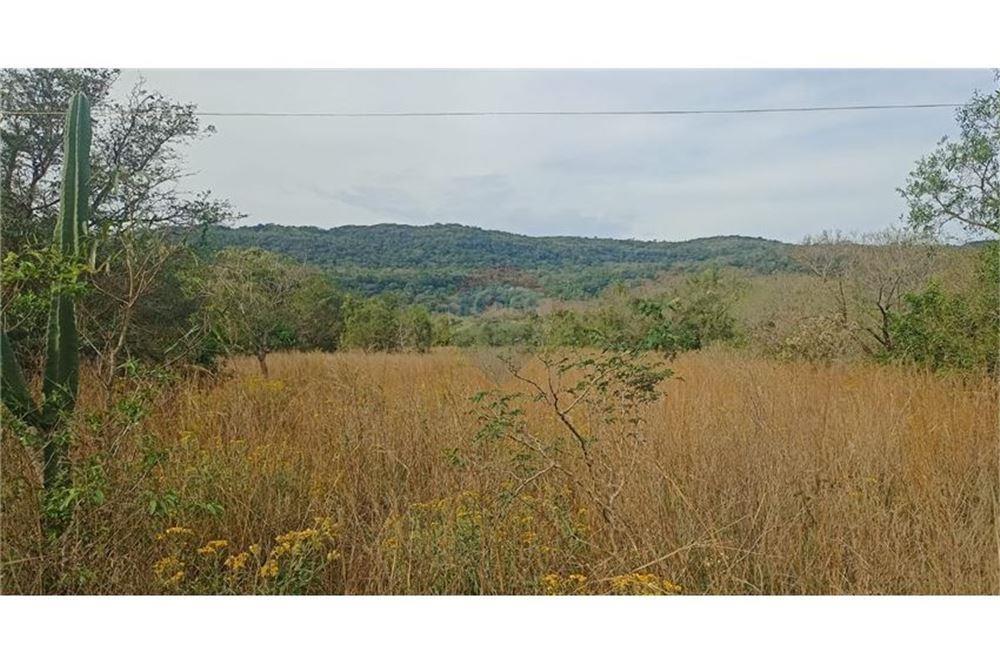 VENDO TERRENO EN PARAGUARI MBATOVI 23 HECTAREAS — foto 2