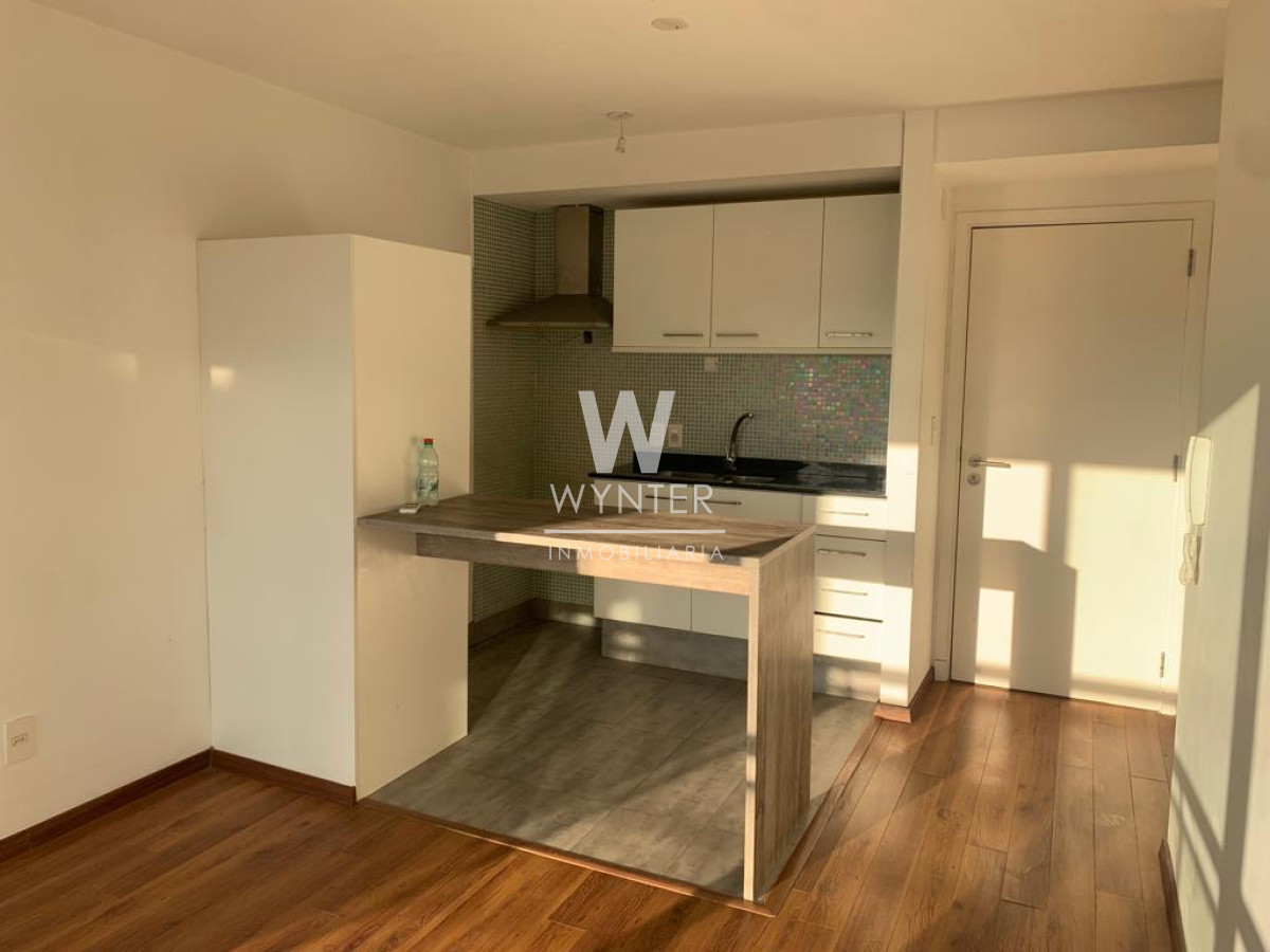 Apartamento en alquiler, 1 dormitorio, Punta Carretas