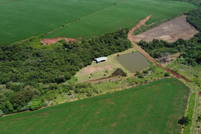 Vendo campo de 45 hectáreas mecanizado en ciudad del Este — foto 2