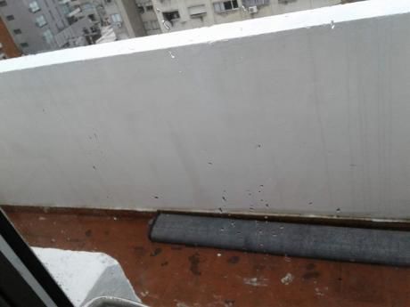 Apartamento En Alquiler Excelente Zona