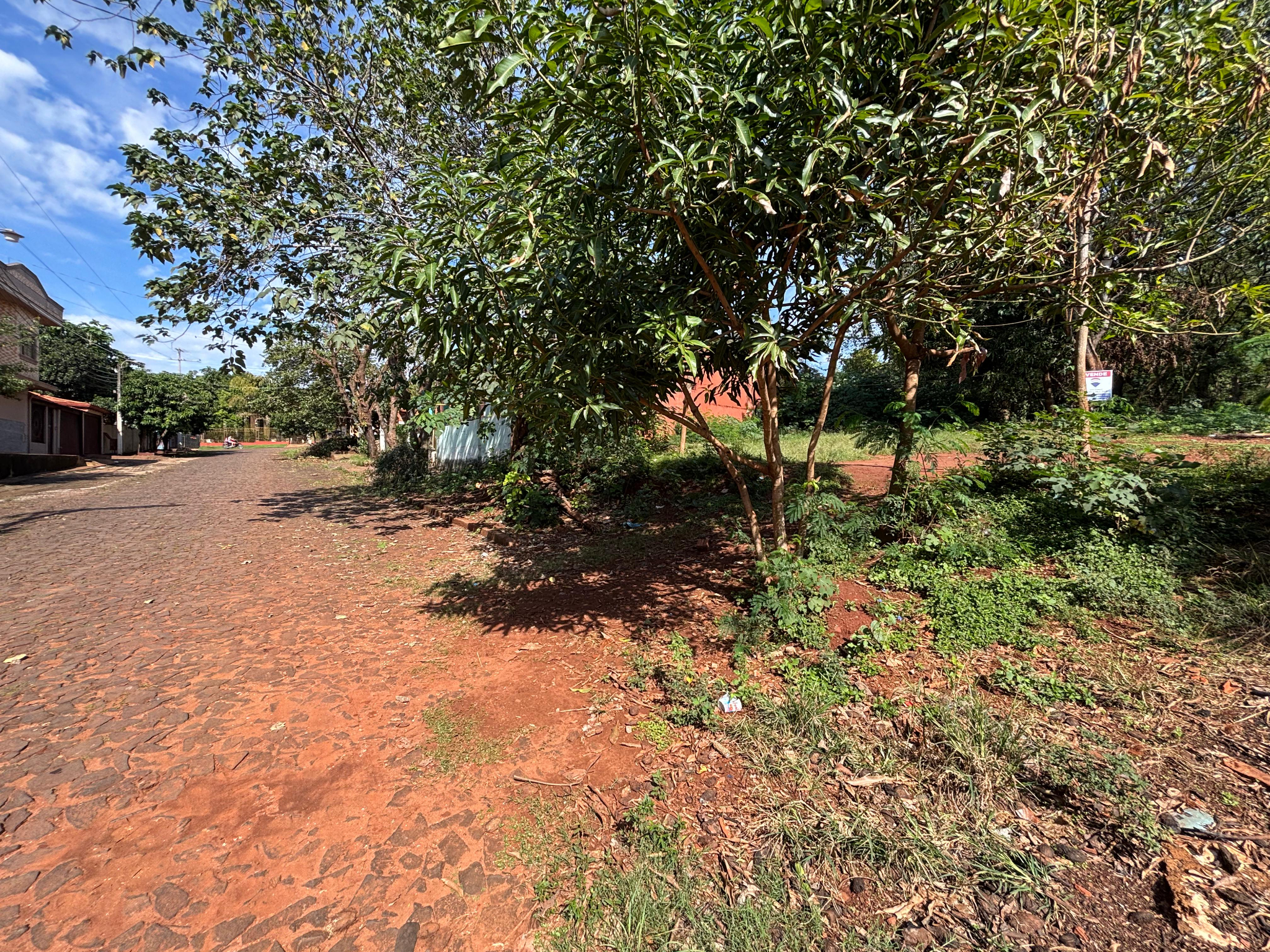 VENDO 2 LOTES JUNTOS EN PRESIDENTE FRANCO — foto 2