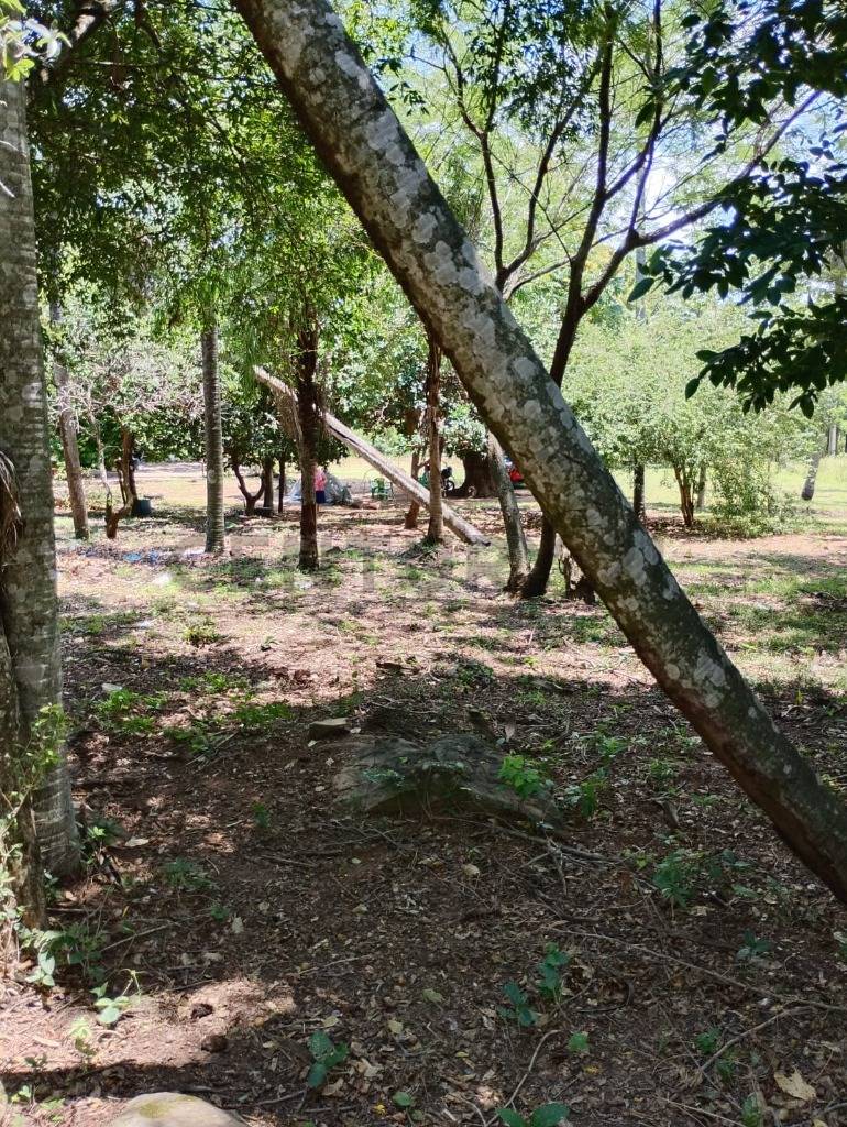 Venta de Estancia/Ganadera en Loma Grande, Cordillera — foto 2