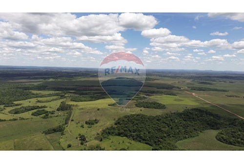 Campo de 2,223 Hectáreas en Caazapa ideal para ganadería — foto 3