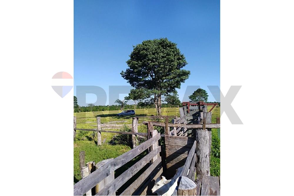 VENDO ESTABLECIMIENTO GANADERO EN CANINDEYU — foto 2